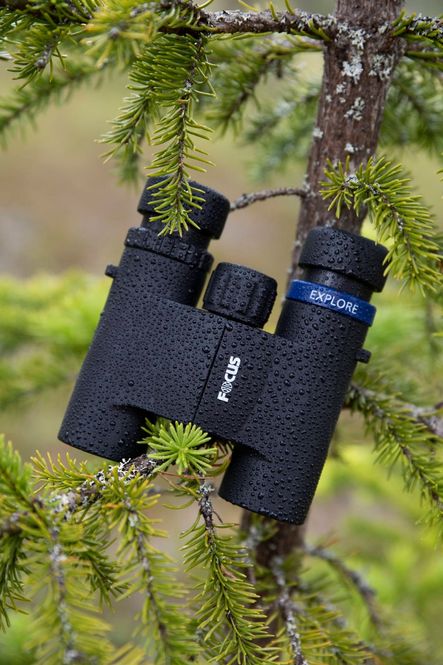 Hovedbilde Focus Explorer 8x25 kikkert