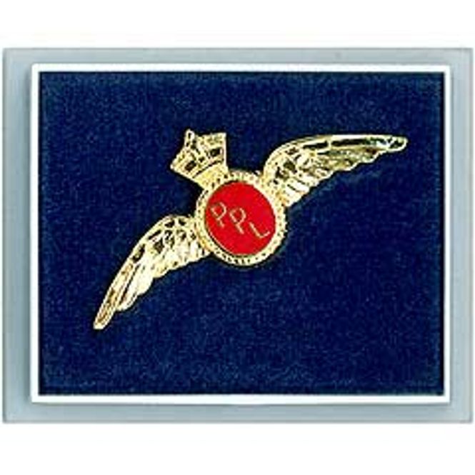 Hovedbilde Jakkem. PPL wing